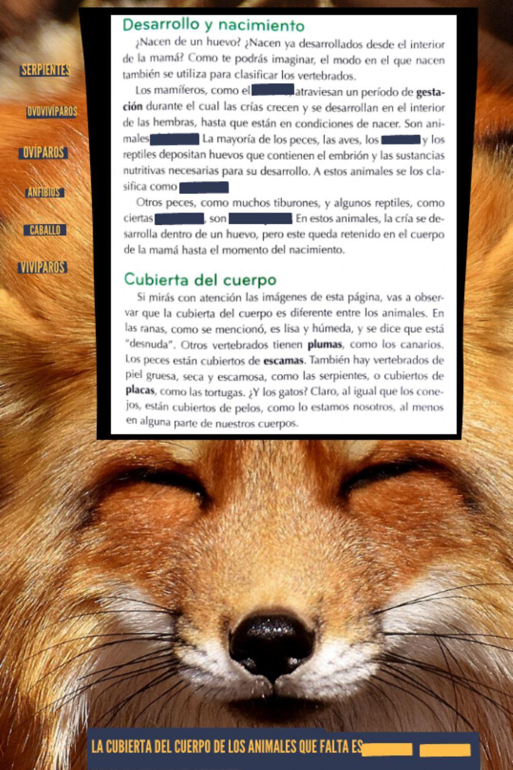 Desarrollo y cubierta