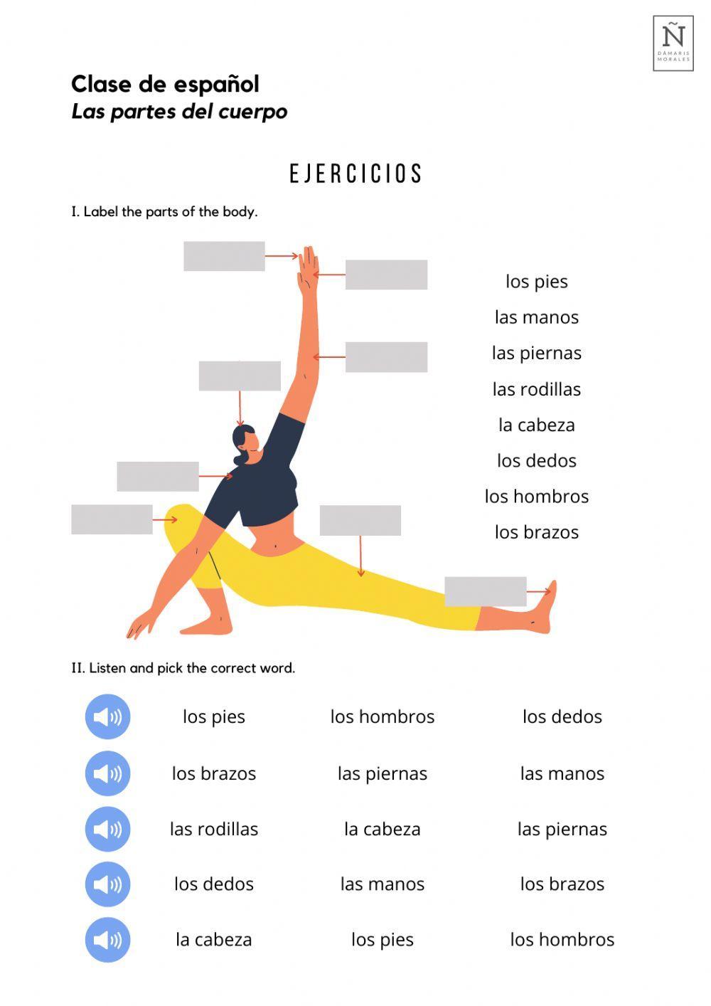 Las partes del cuerpo