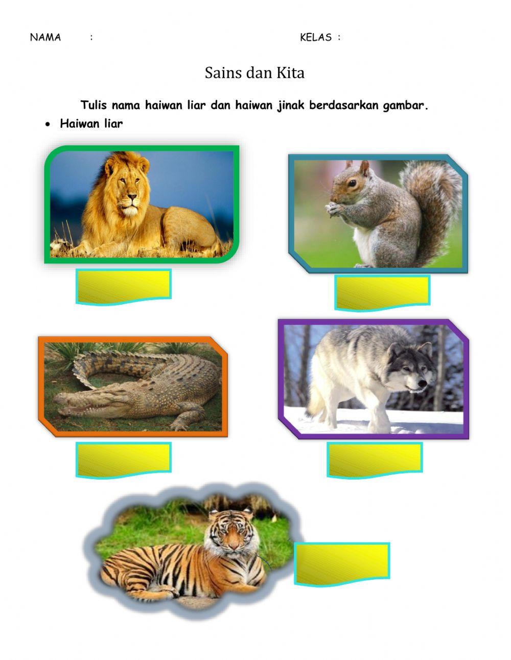 B.Melayu (Sains dan Kita)