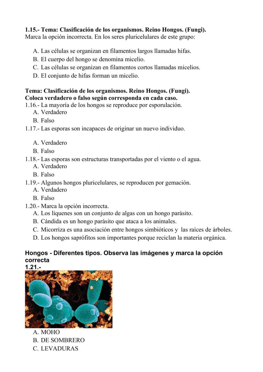 Reino fungi y R… | Free Interactive Worksheets | 306863, image size:1000x1413