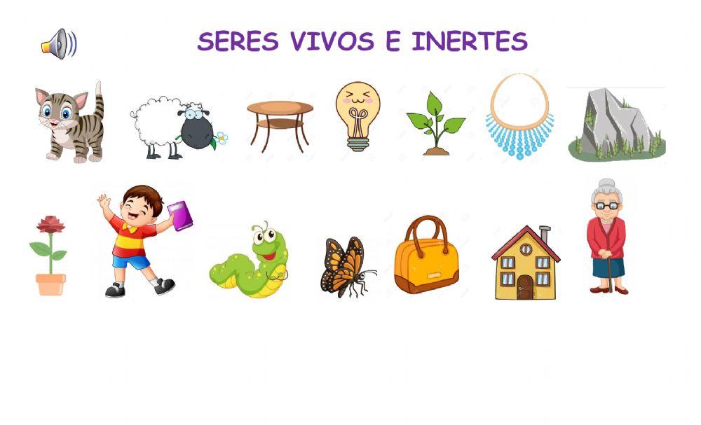 Seres vivos e inertes.