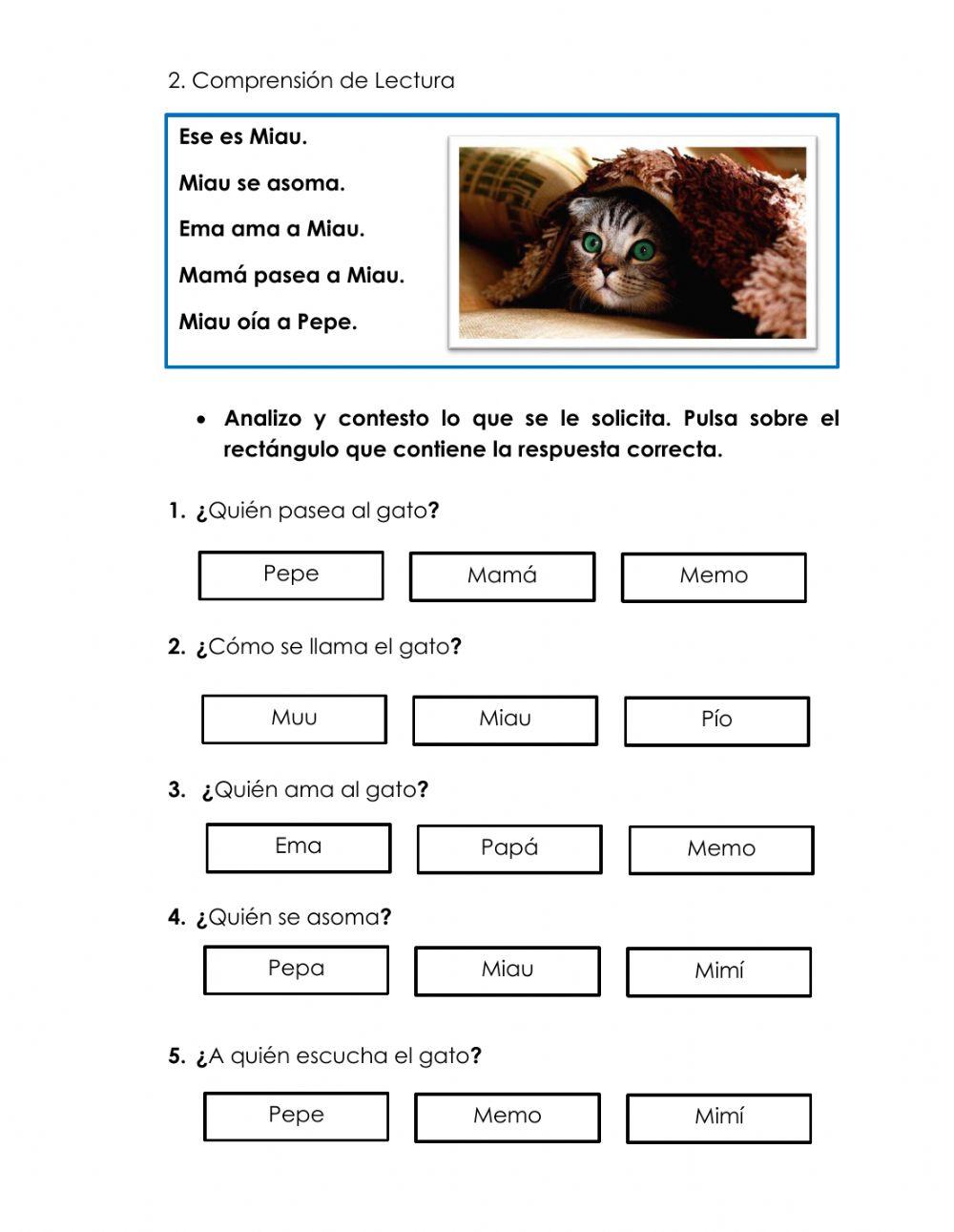 Lectura Vocabulario con M S P