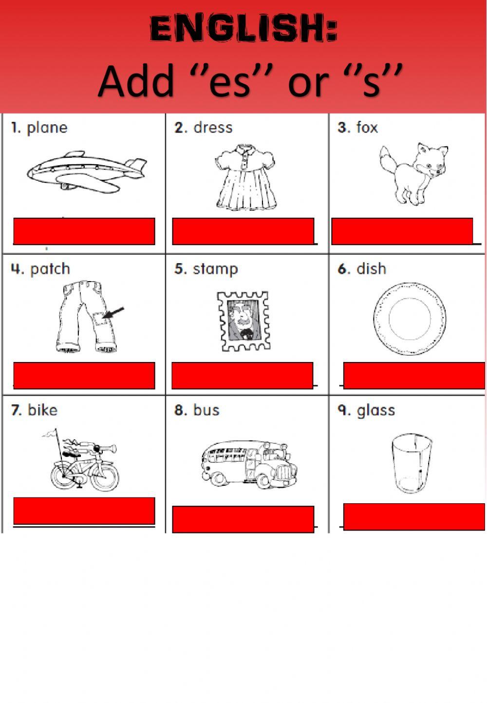 WEEK 21: WEDNESDAY: Plurals