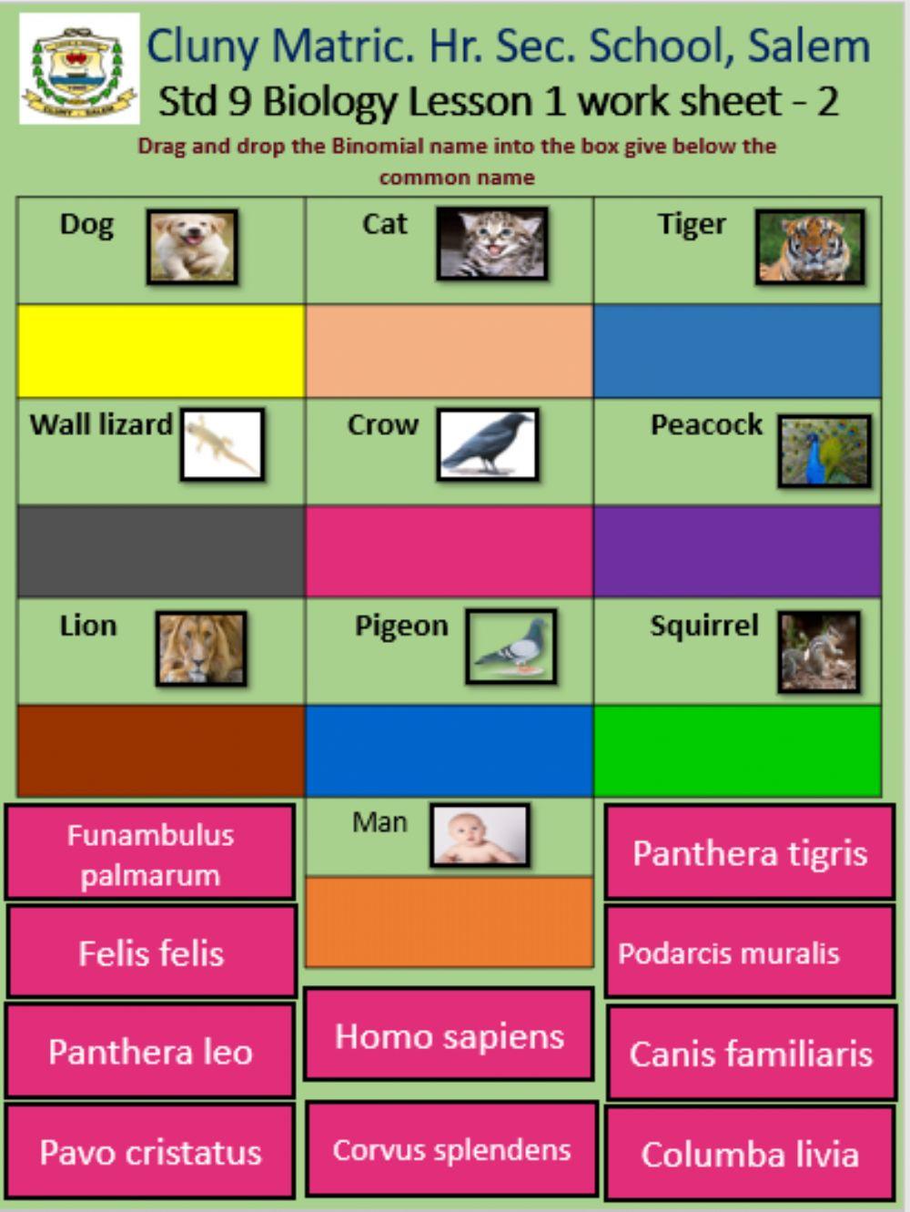 Std 9 Biology Lesson 1 Worksheet - 2