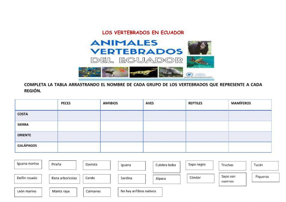 Los vertebrados en Ecuador