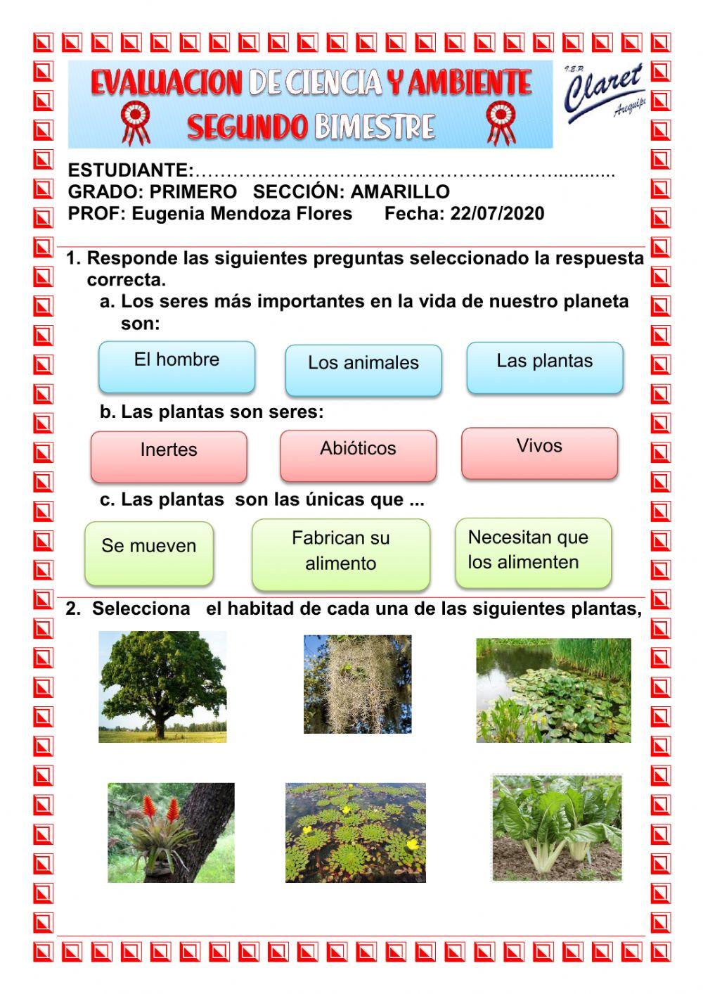 Evaluacion de ciencia y ambiente