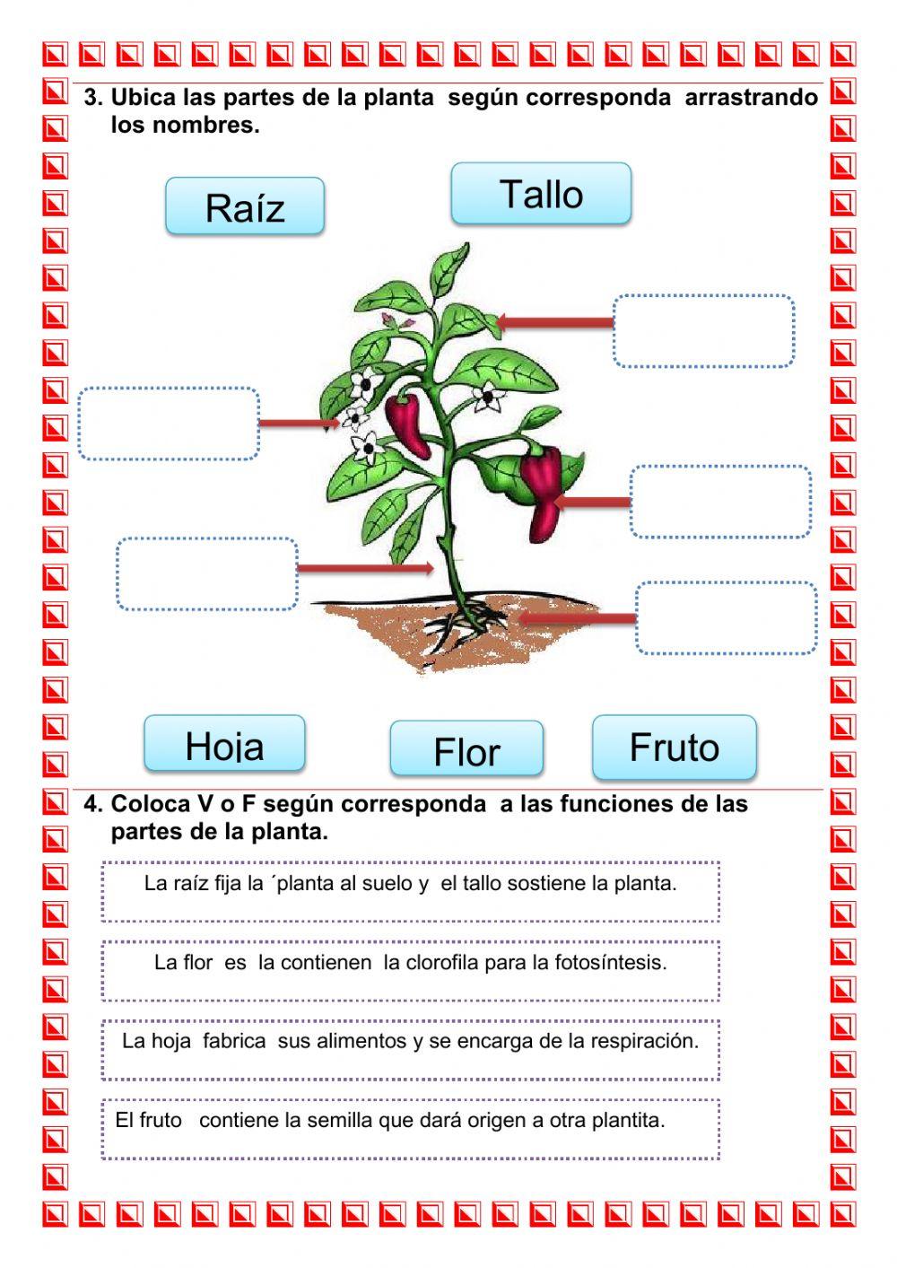 Evaluacion de ciencia y ambiente