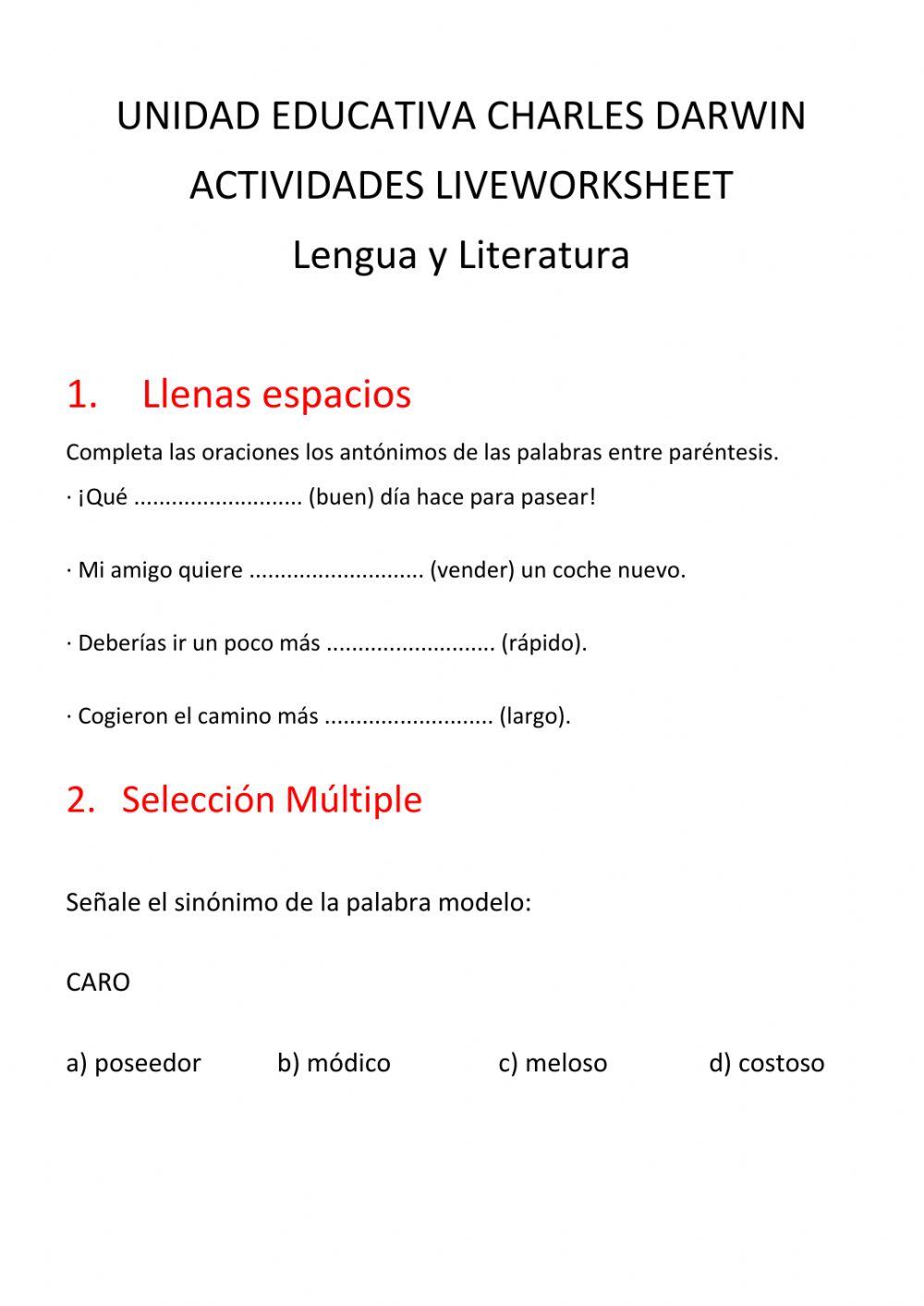 Programacion liveworksheets