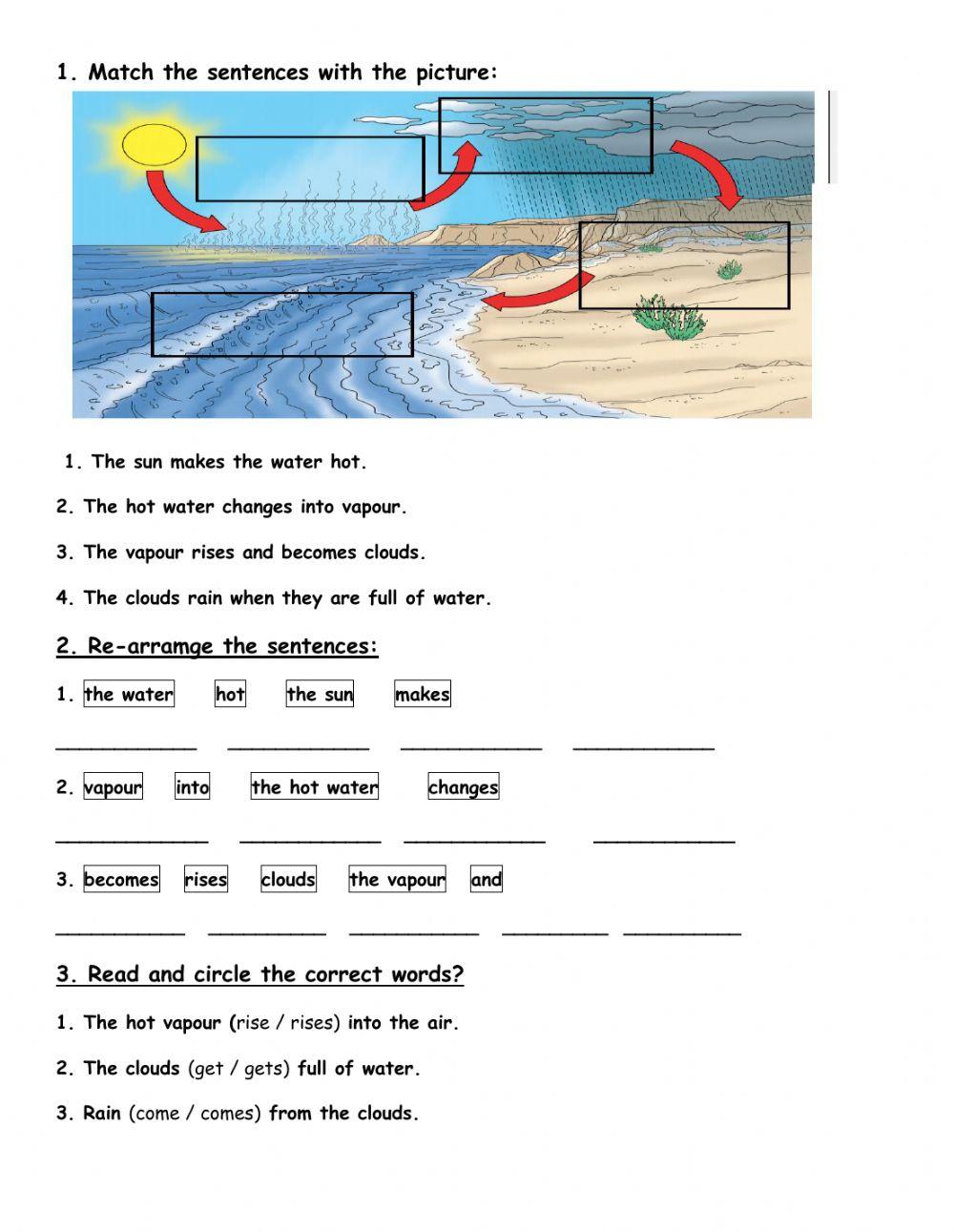 Water Cycle Simple Present worksheet