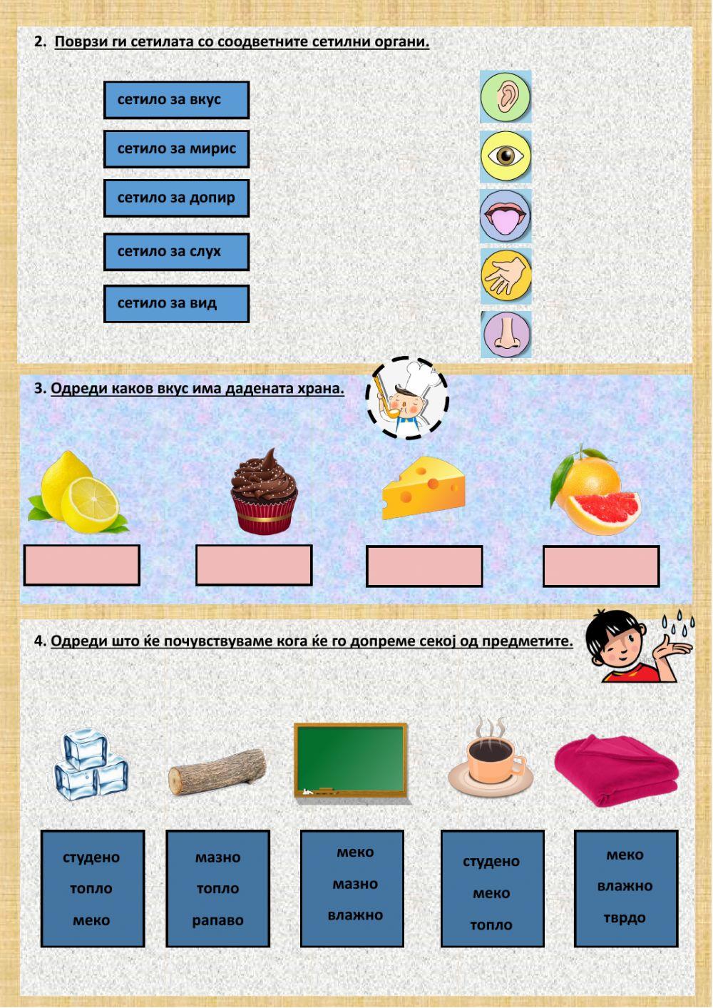 Употреба на нашите сетила