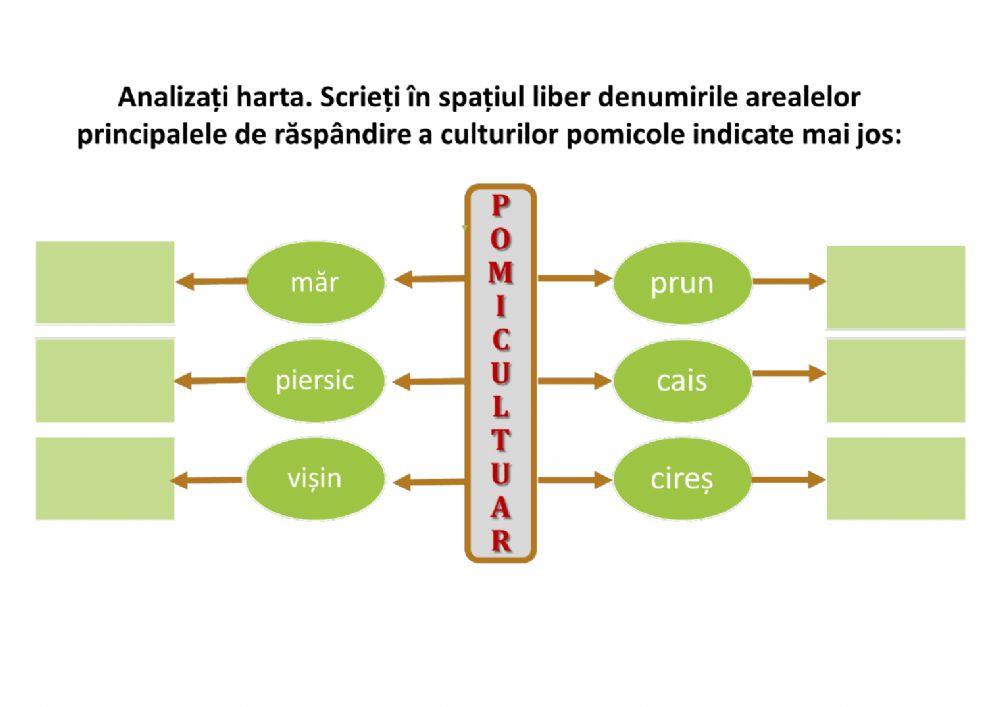 Fișă de lucru Pomicultura