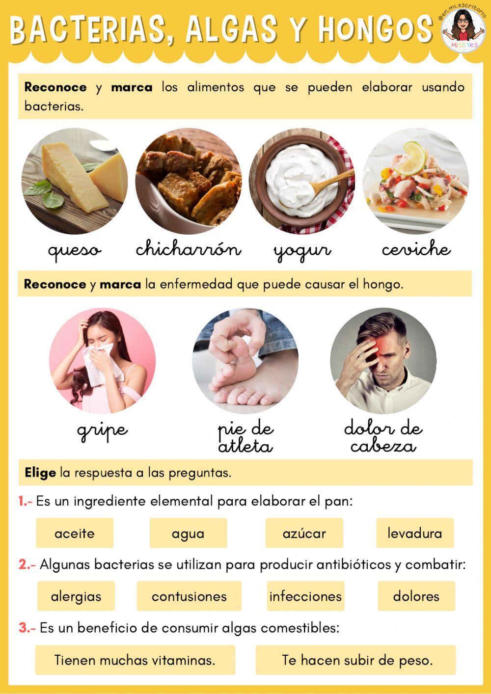 Reinos monera, protista y fungi Reinos monera, protista y fungi