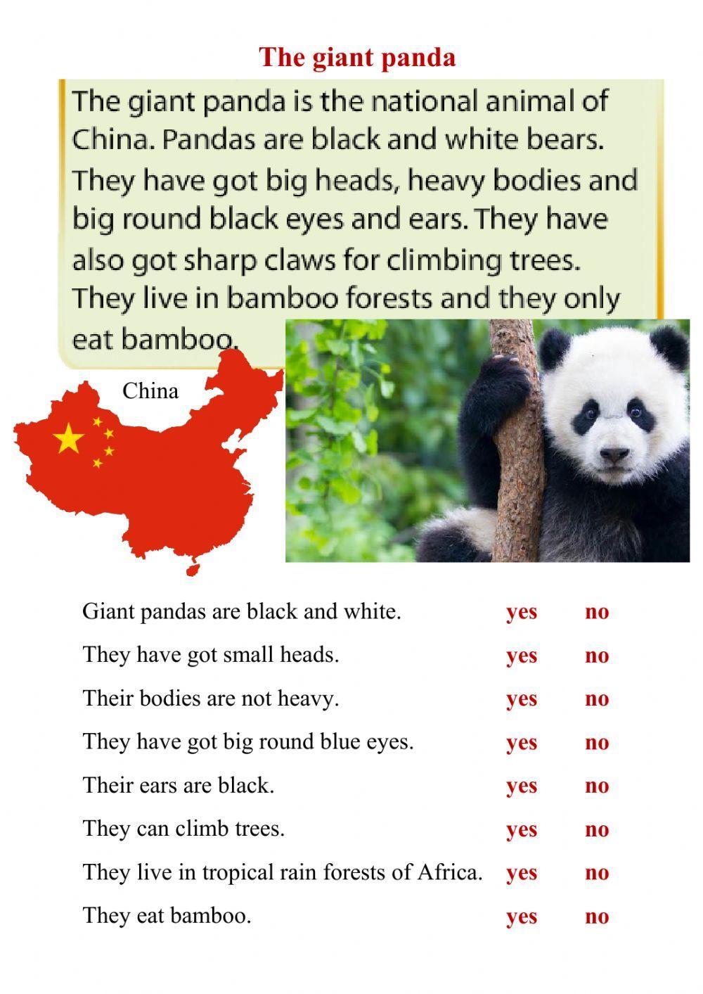 Reading - The giant panda