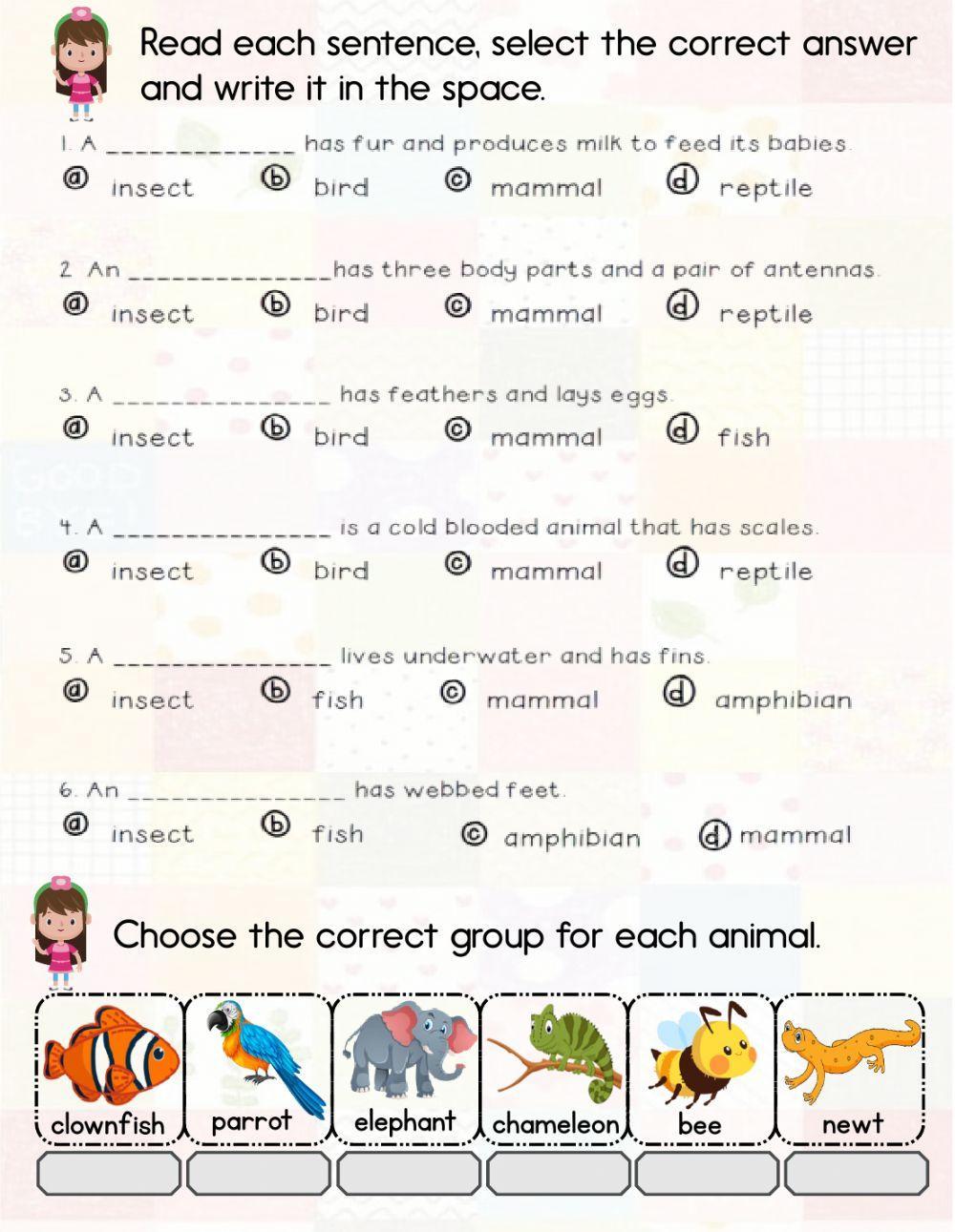 Animal groups