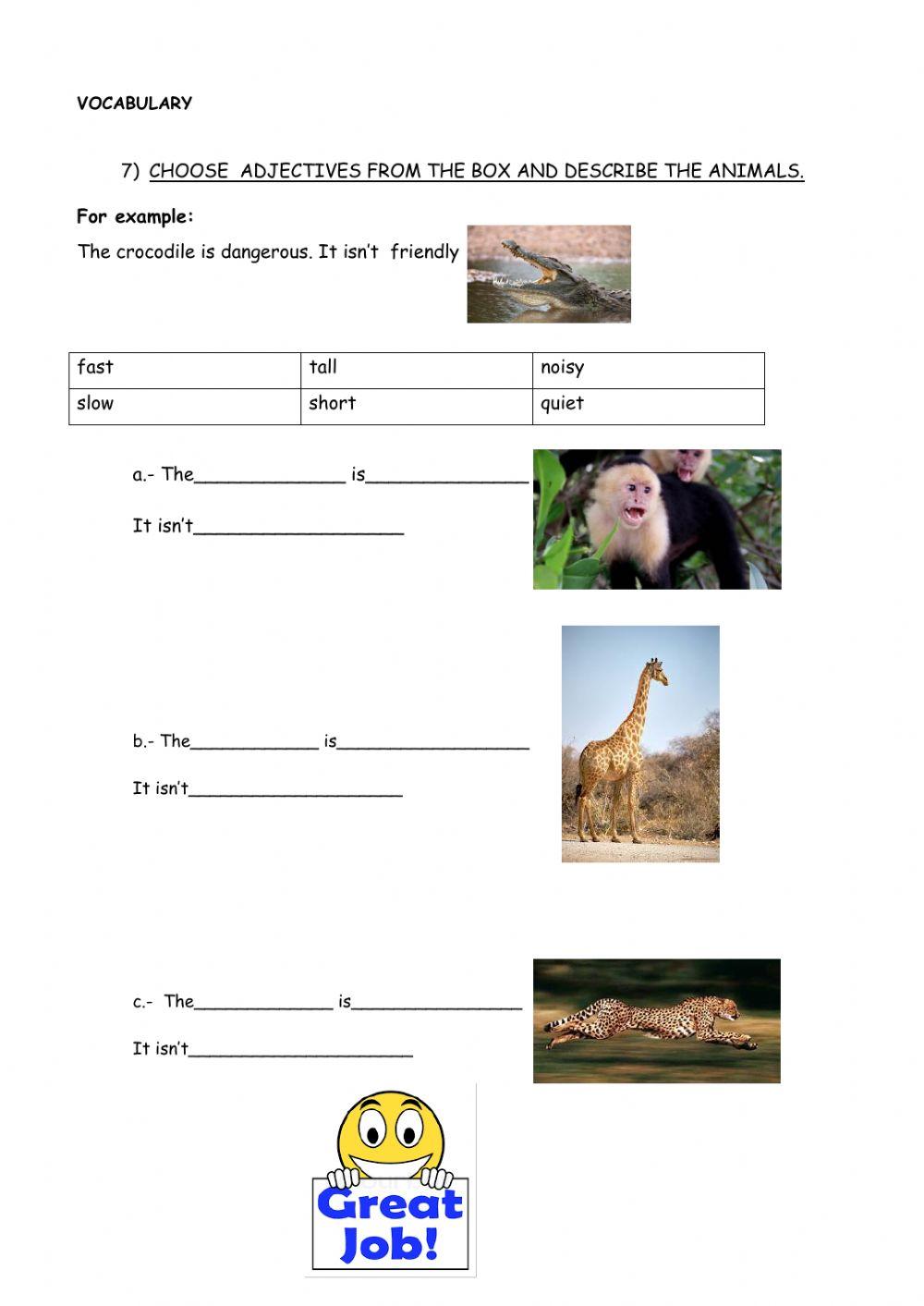Juniors III - 1st Term Test