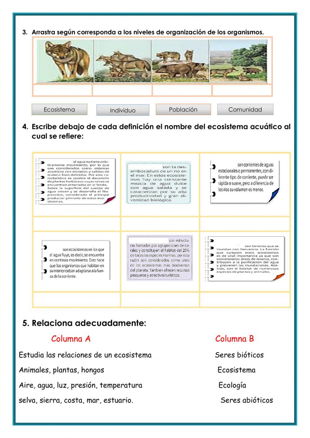 Ambientes acuáticos