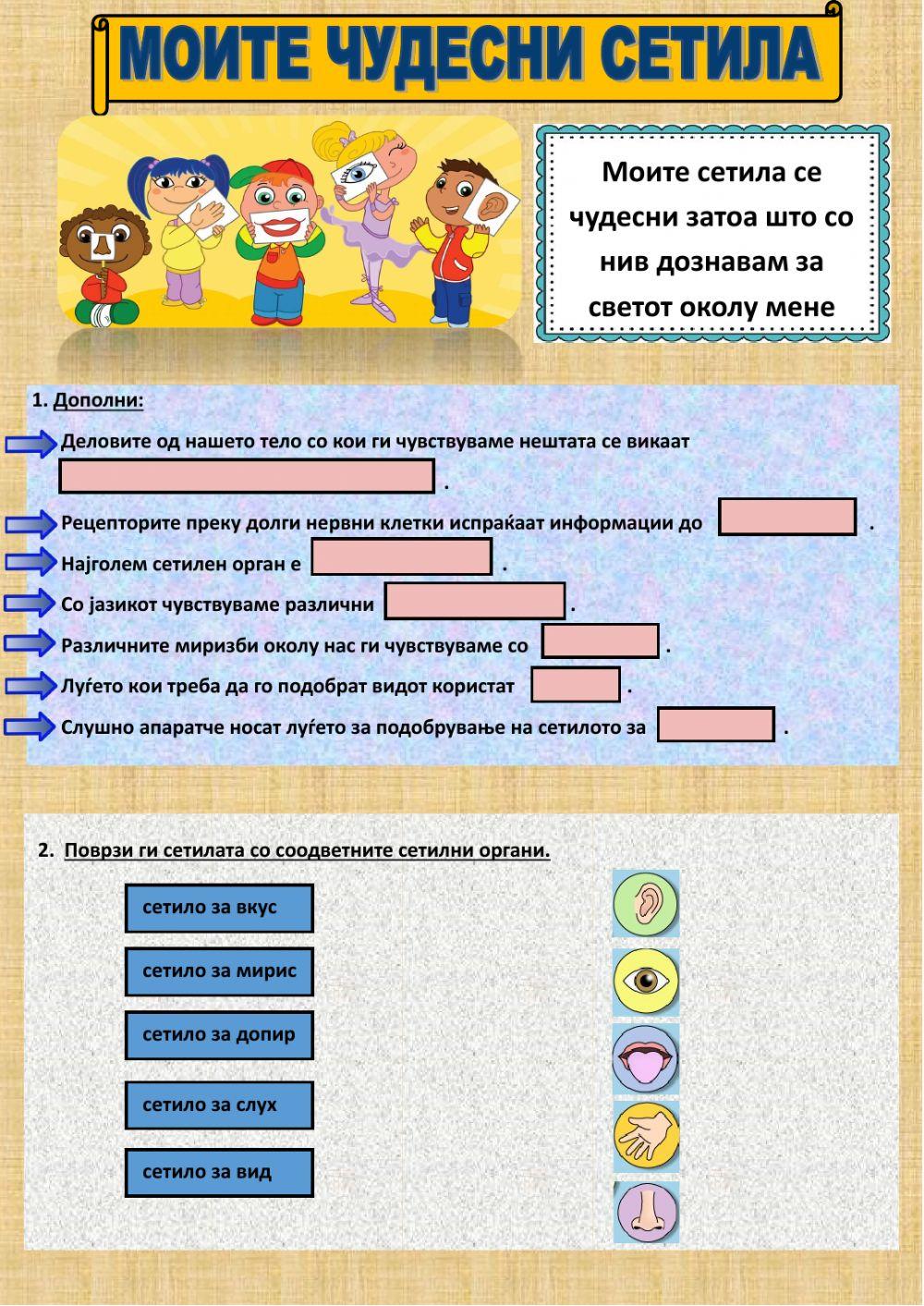 Моите чудесни сетила