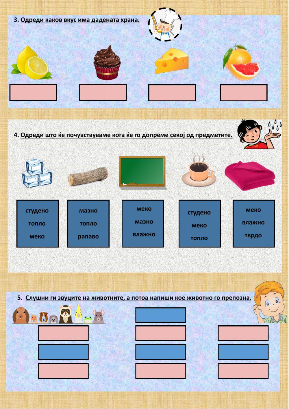 Моите чудесни сетила