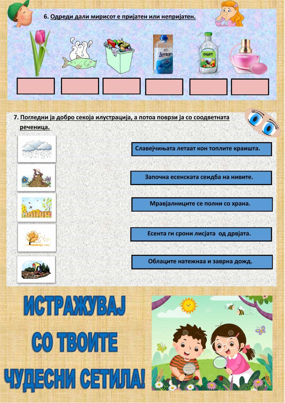 Моите чудесни сетила