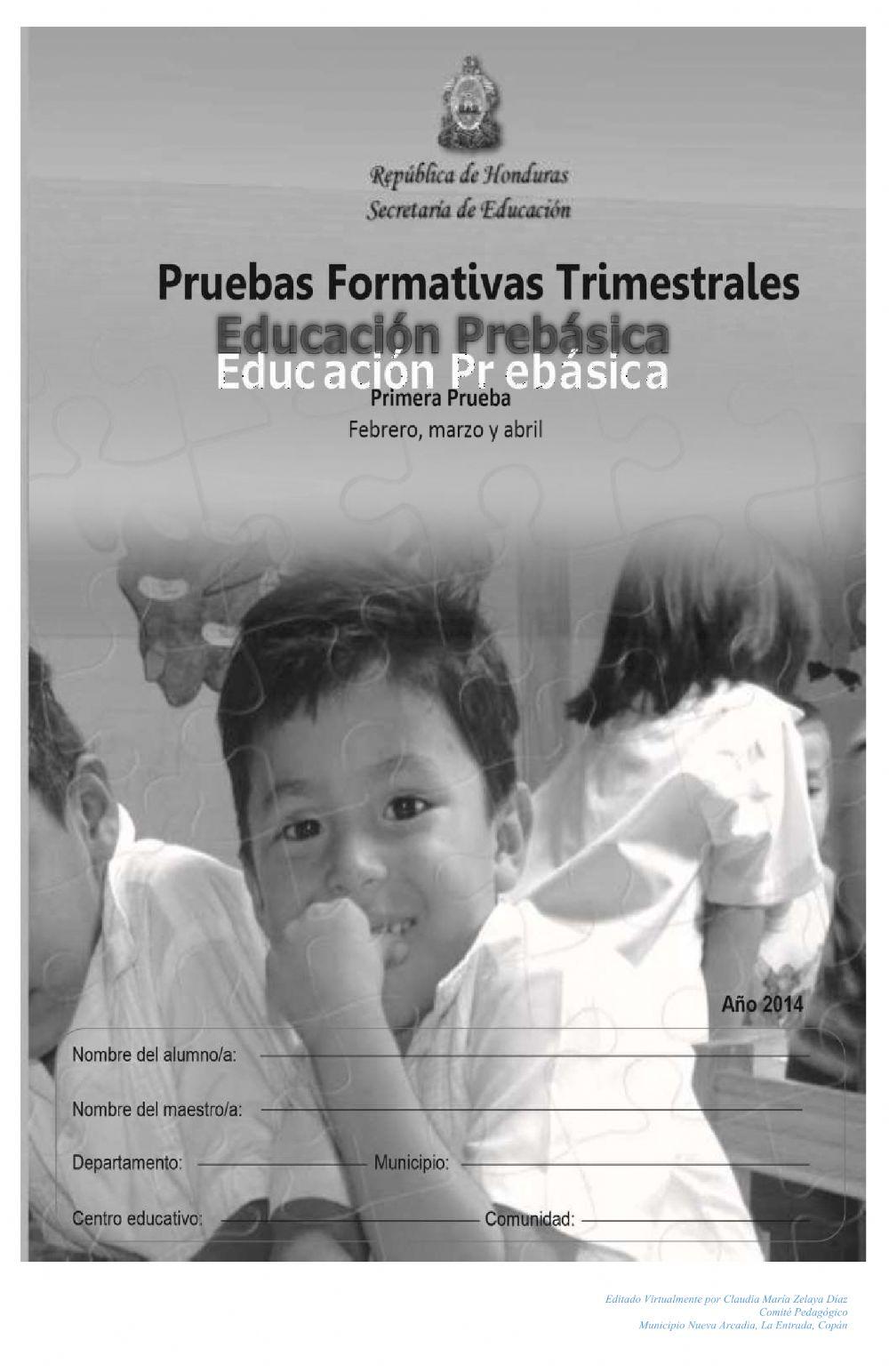 Prueba formativa de Pre básica, de Febrero a Marzo