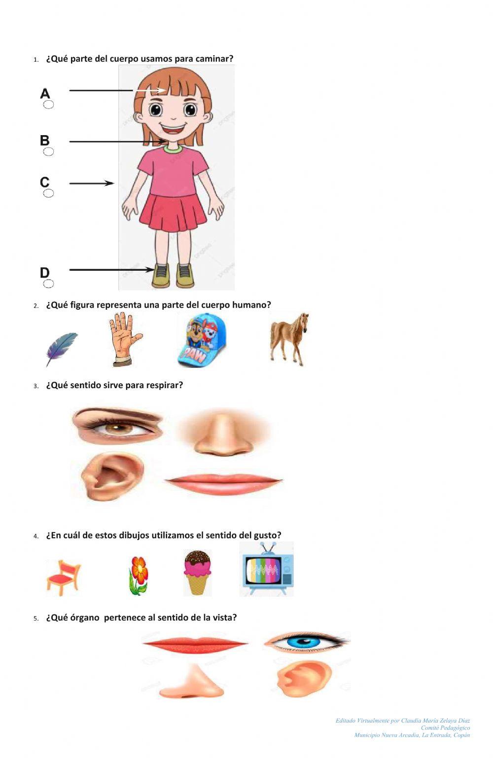 Prueba formativa de Pre básica, de Febrero a Marzo