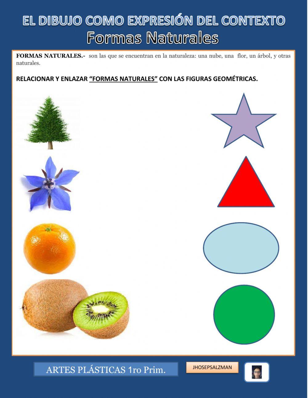 El dibujo como expresión del contexto: formas naturales y artificiales.