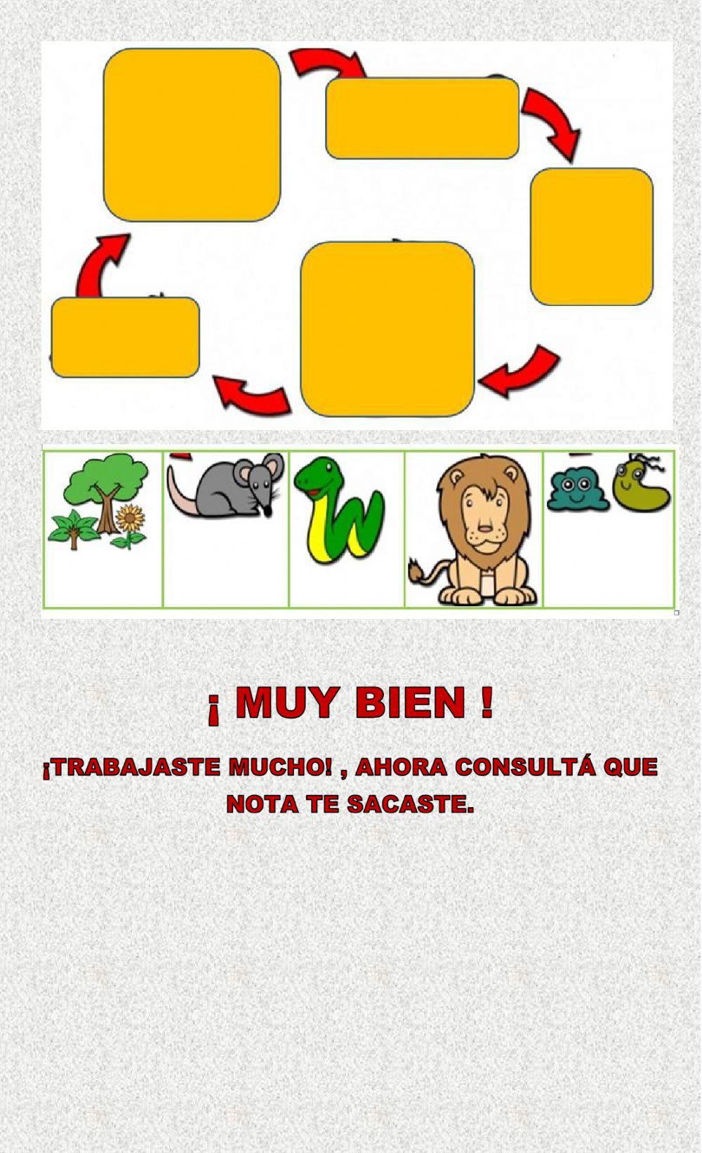 Cadenas alimentarias