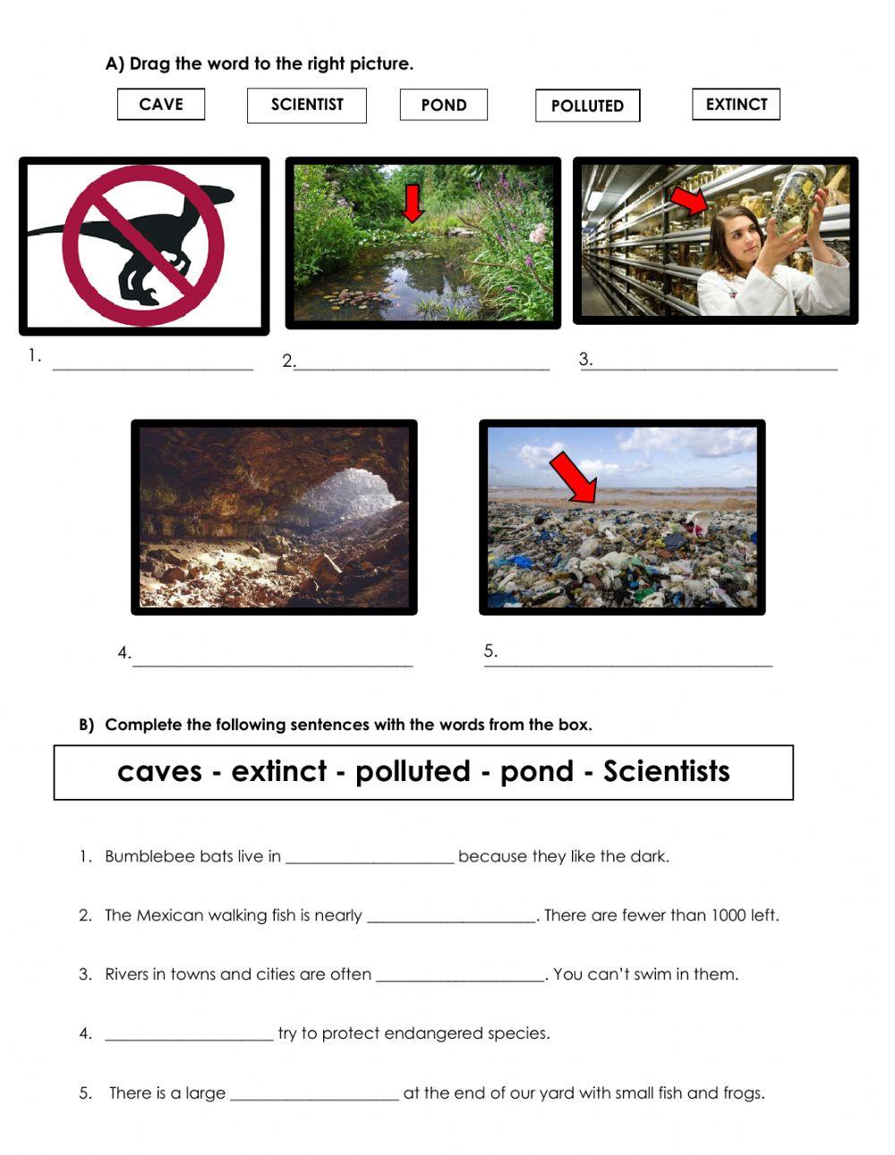 Endangered Species: Vocabulary