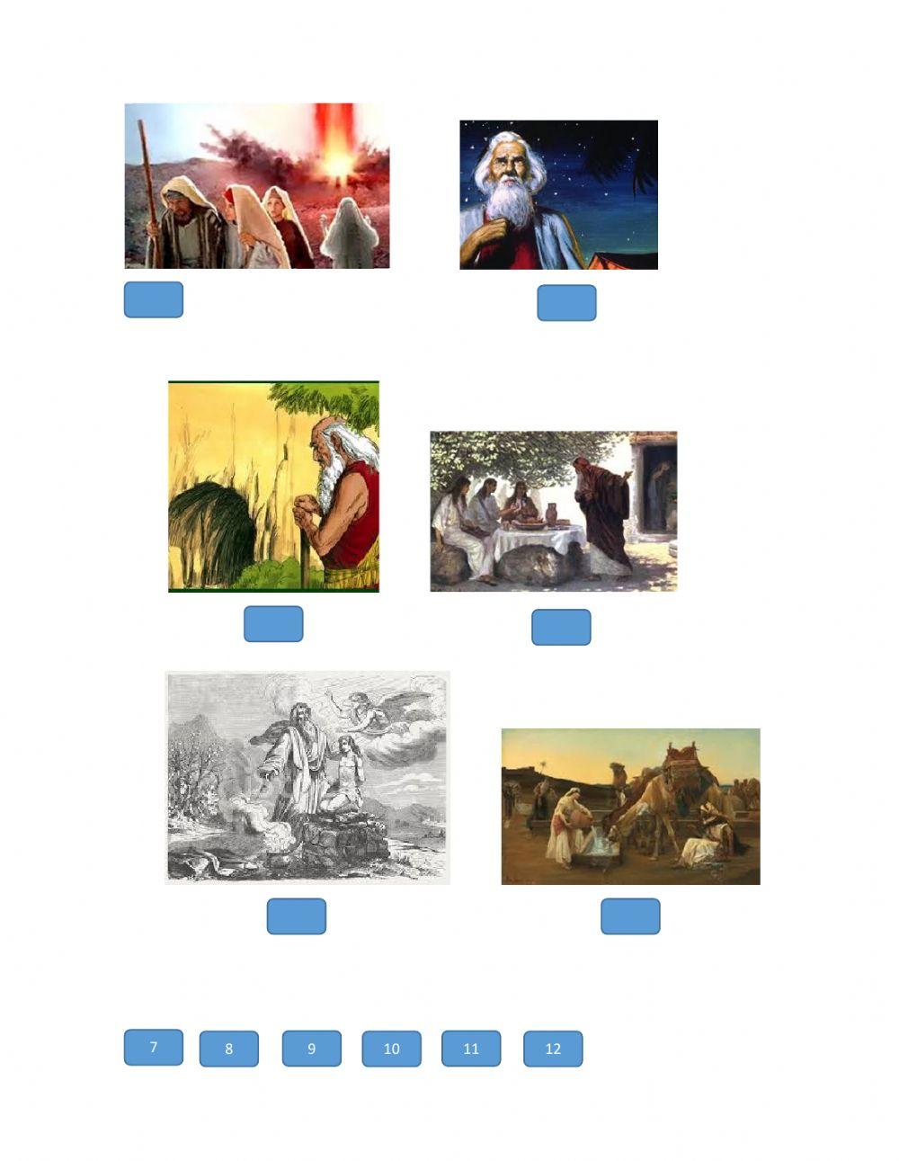 imágenes cronológicas de tora