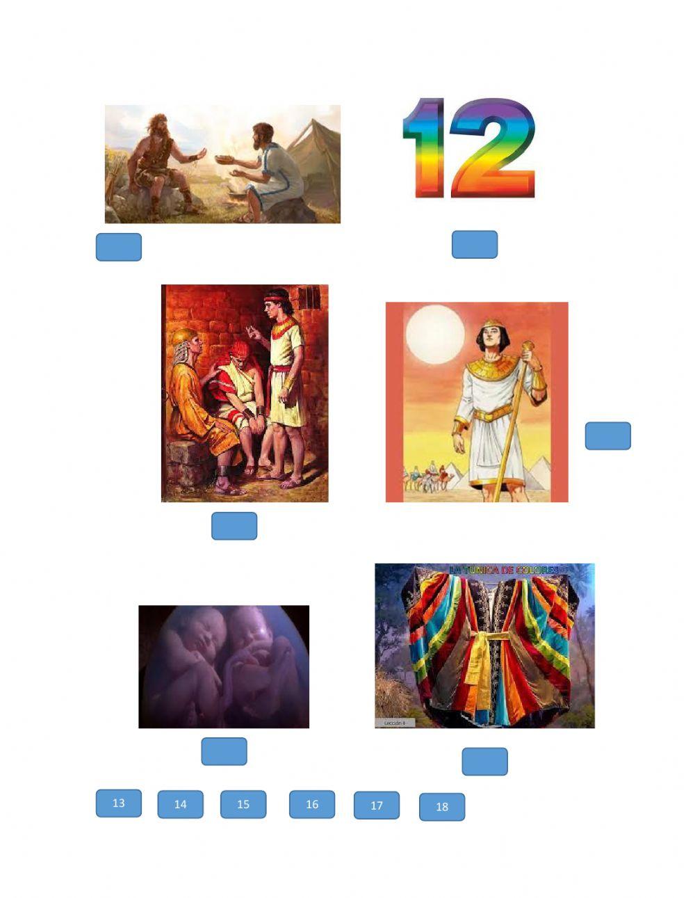 imágenes cronológicas de tora