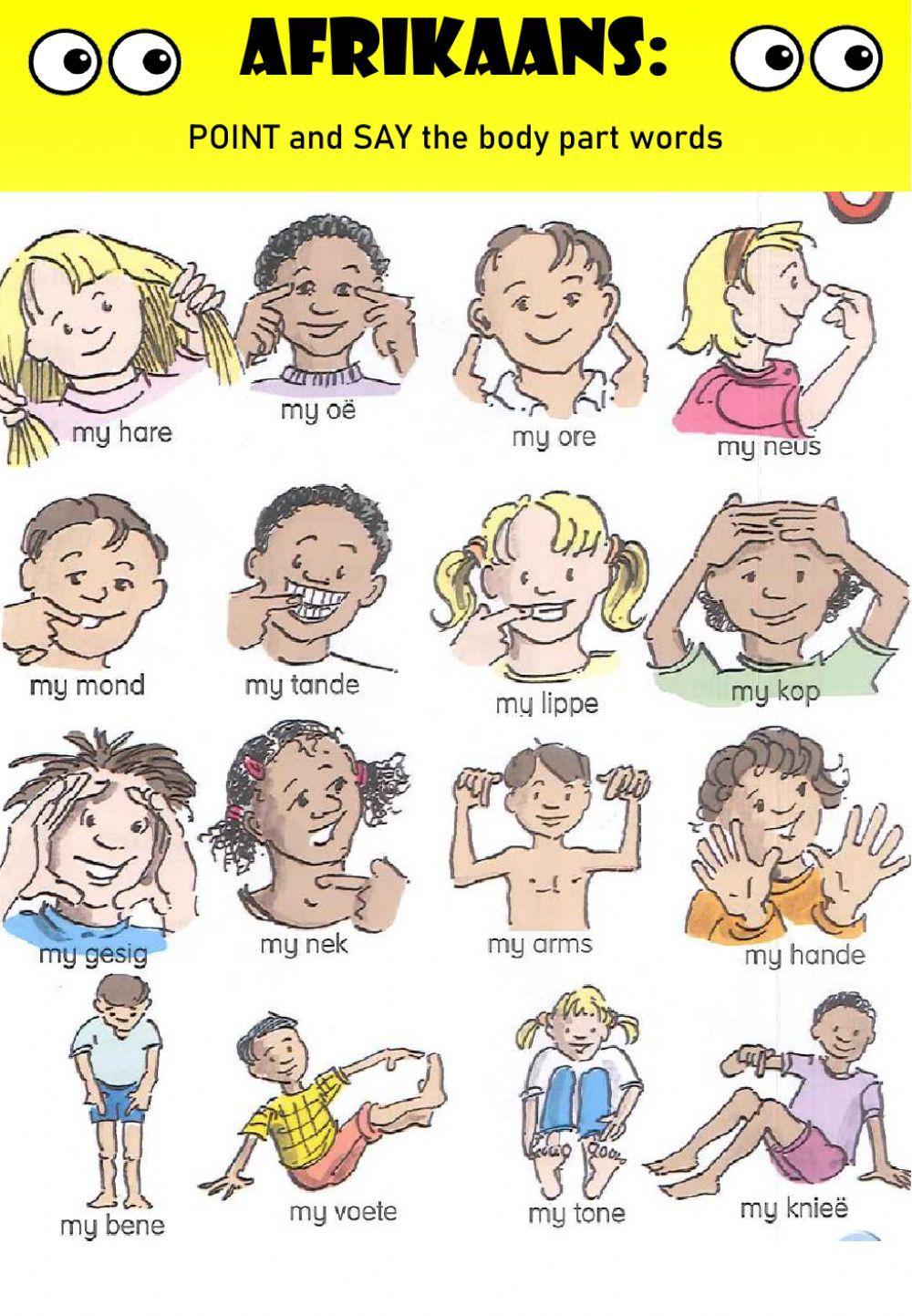 WEEK 22: TUESDAY: Body Parts