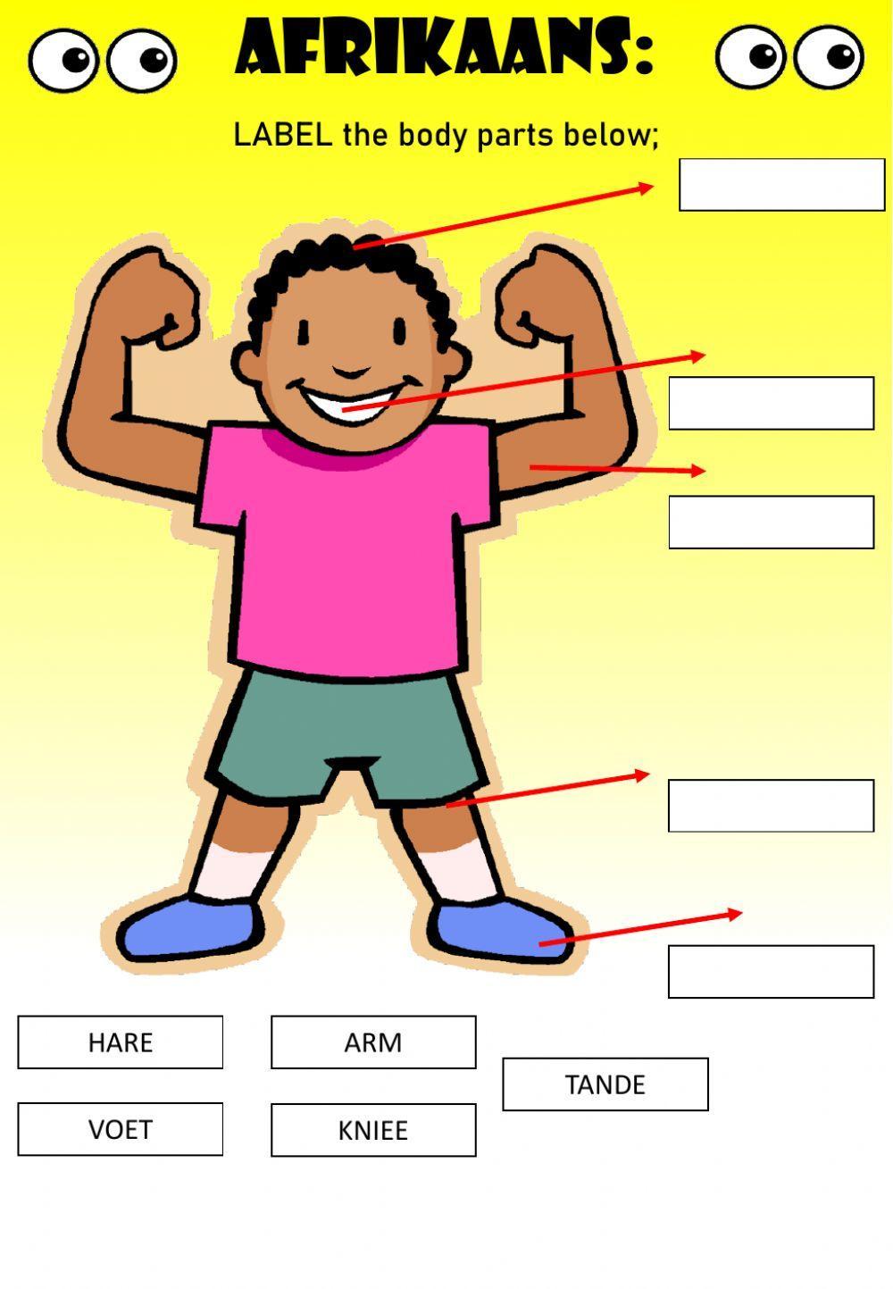 WEEK 22: TUESDAY: Body Parts