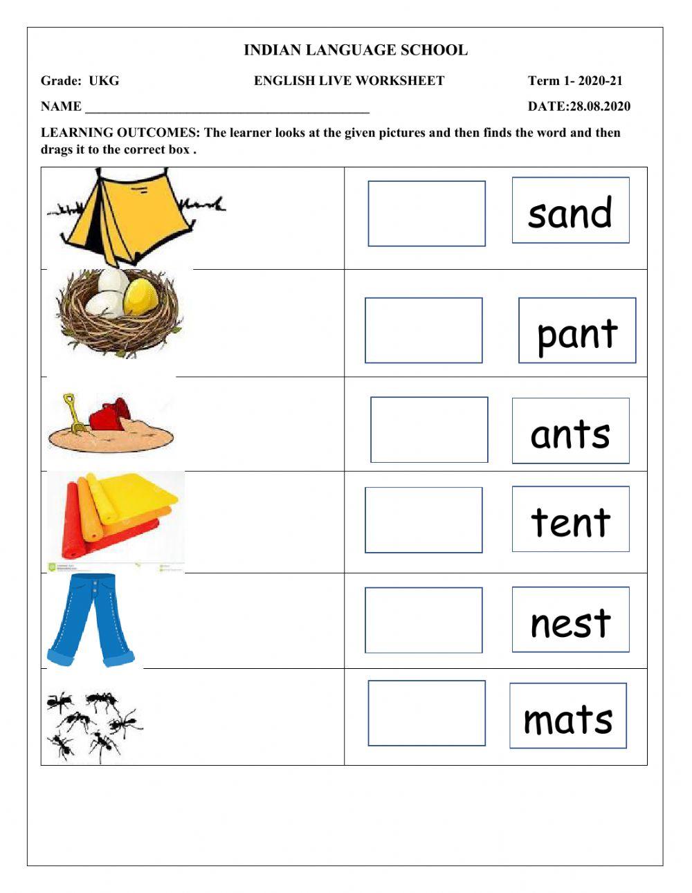 Phonics and words