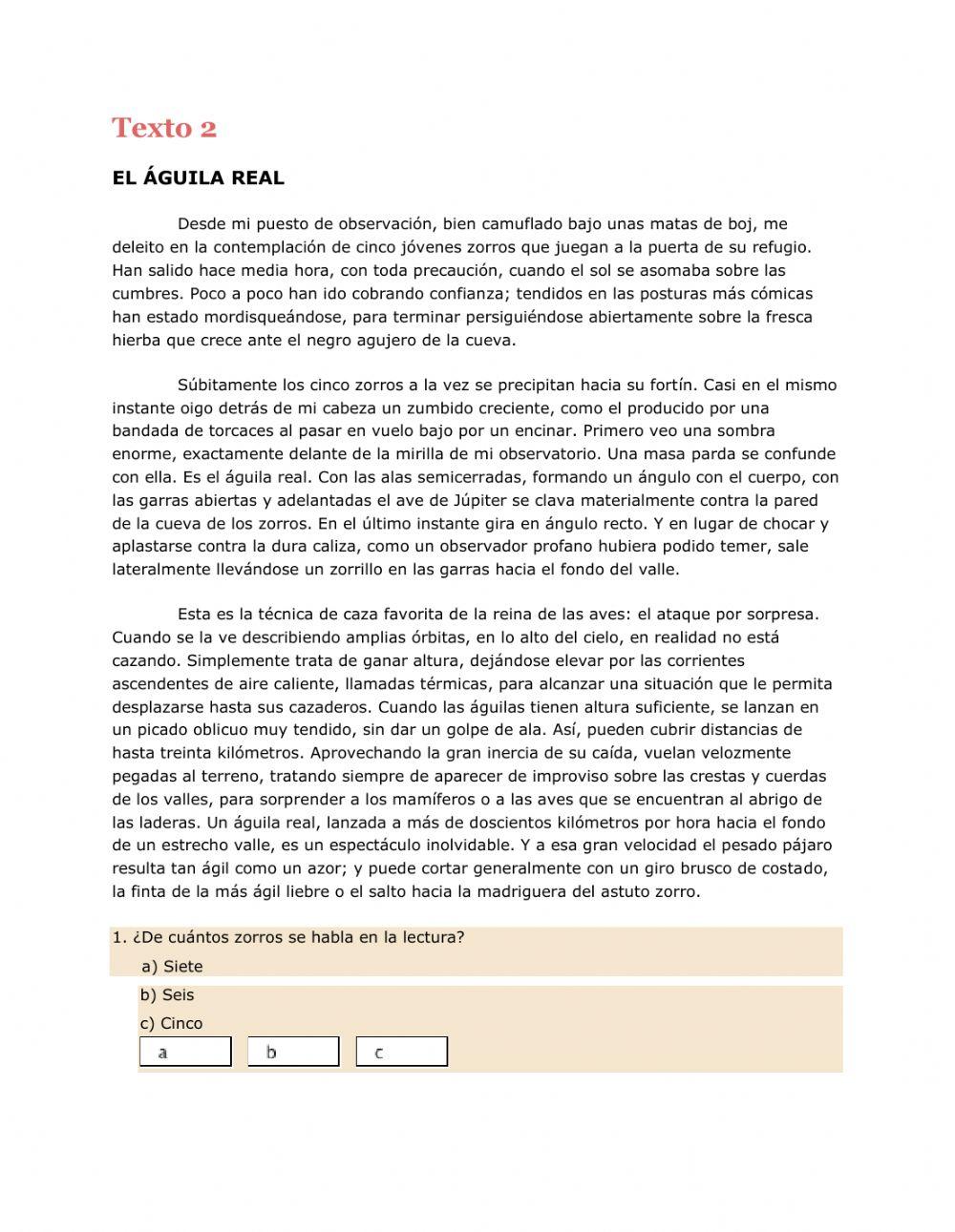 Comprension de texto