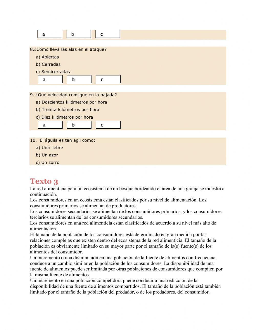 Comprension de texto