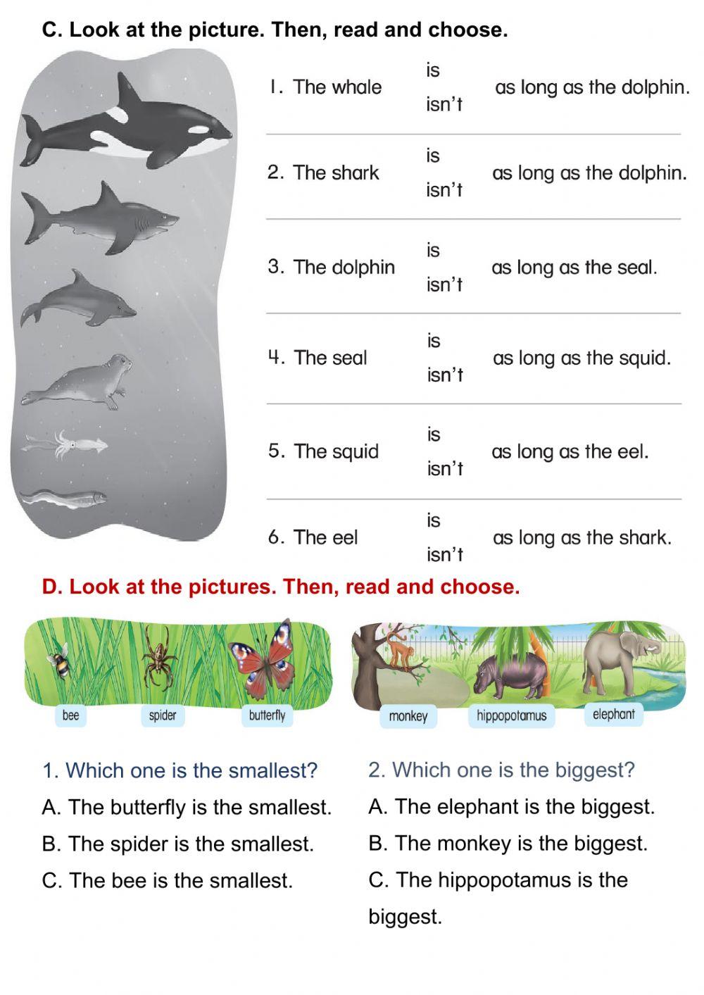 ACTIVITIES ABOUT LAND AND SEA