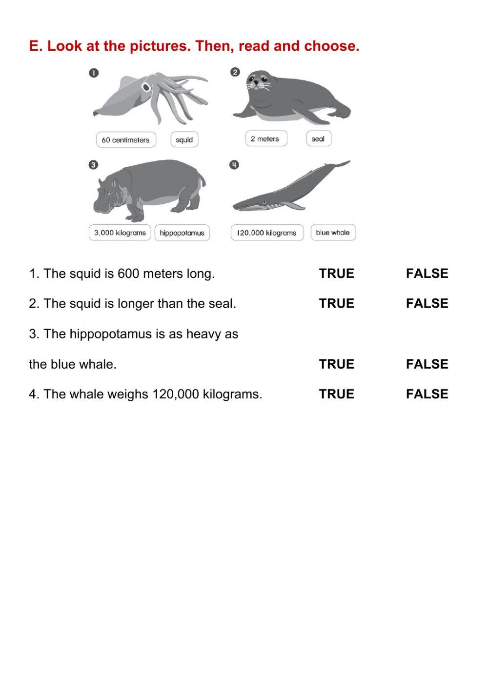 ACTIVITIES ABOUT LAND AND SEA