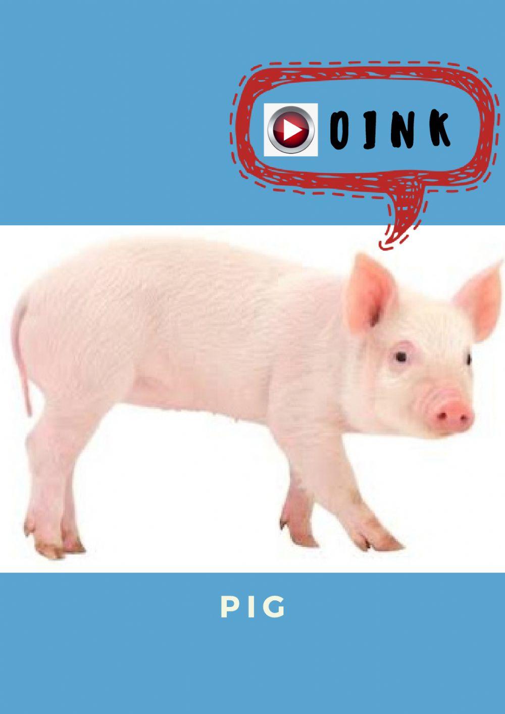 Animals and their sounds 3