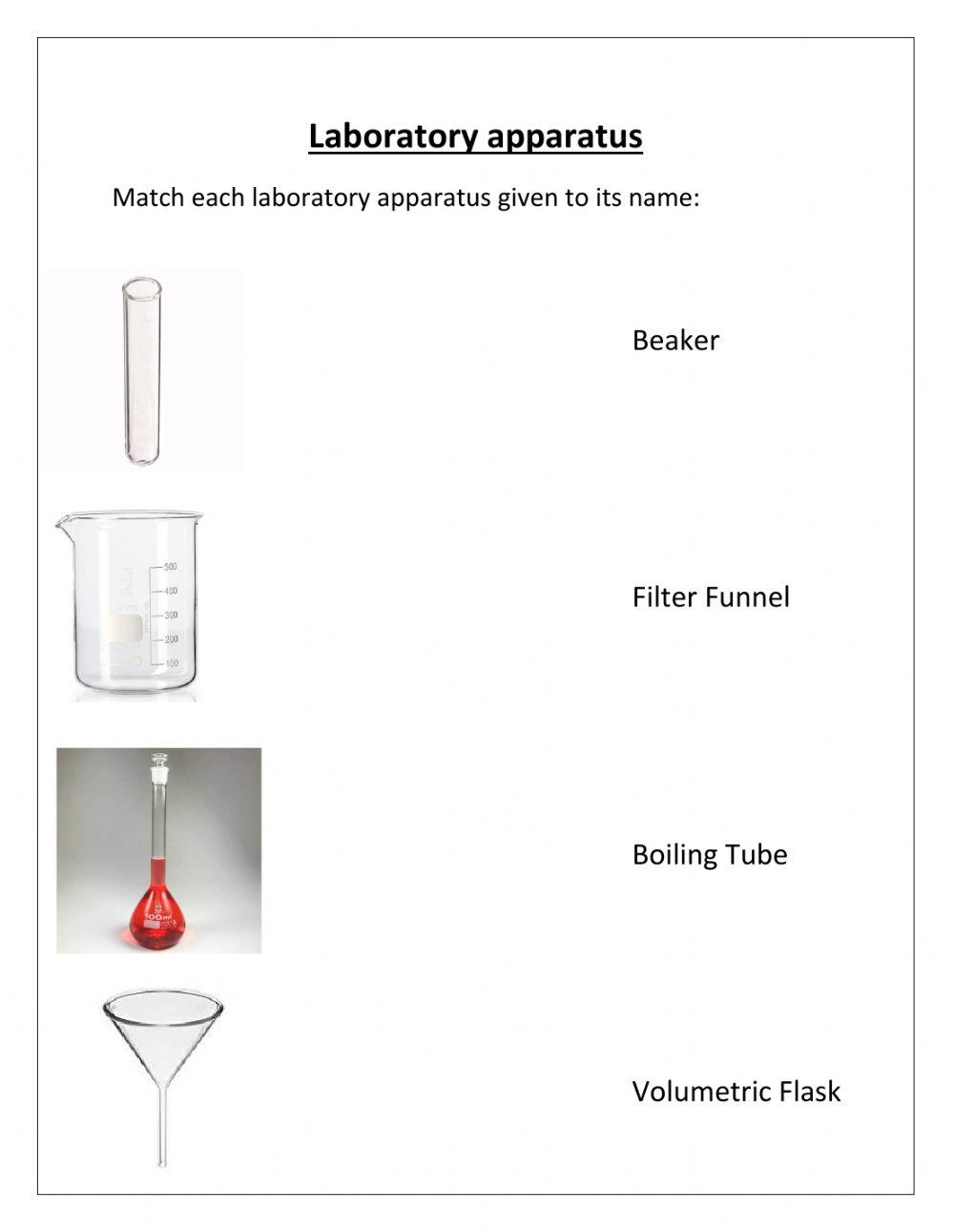 Laboratory worksheet | Live Worksheets