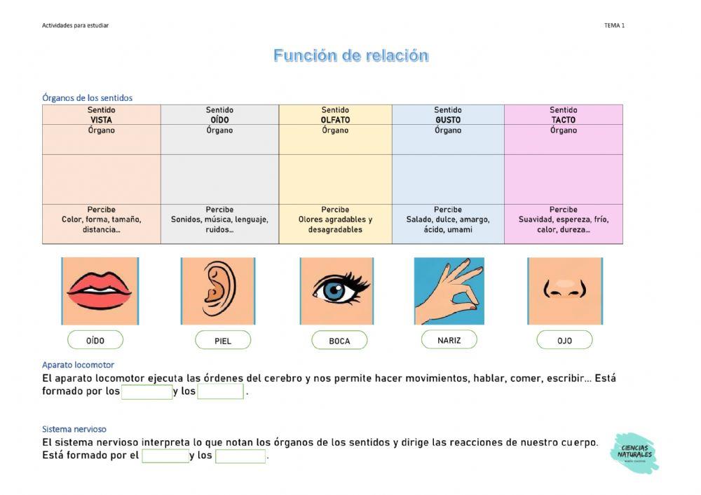 Actividades de estudio