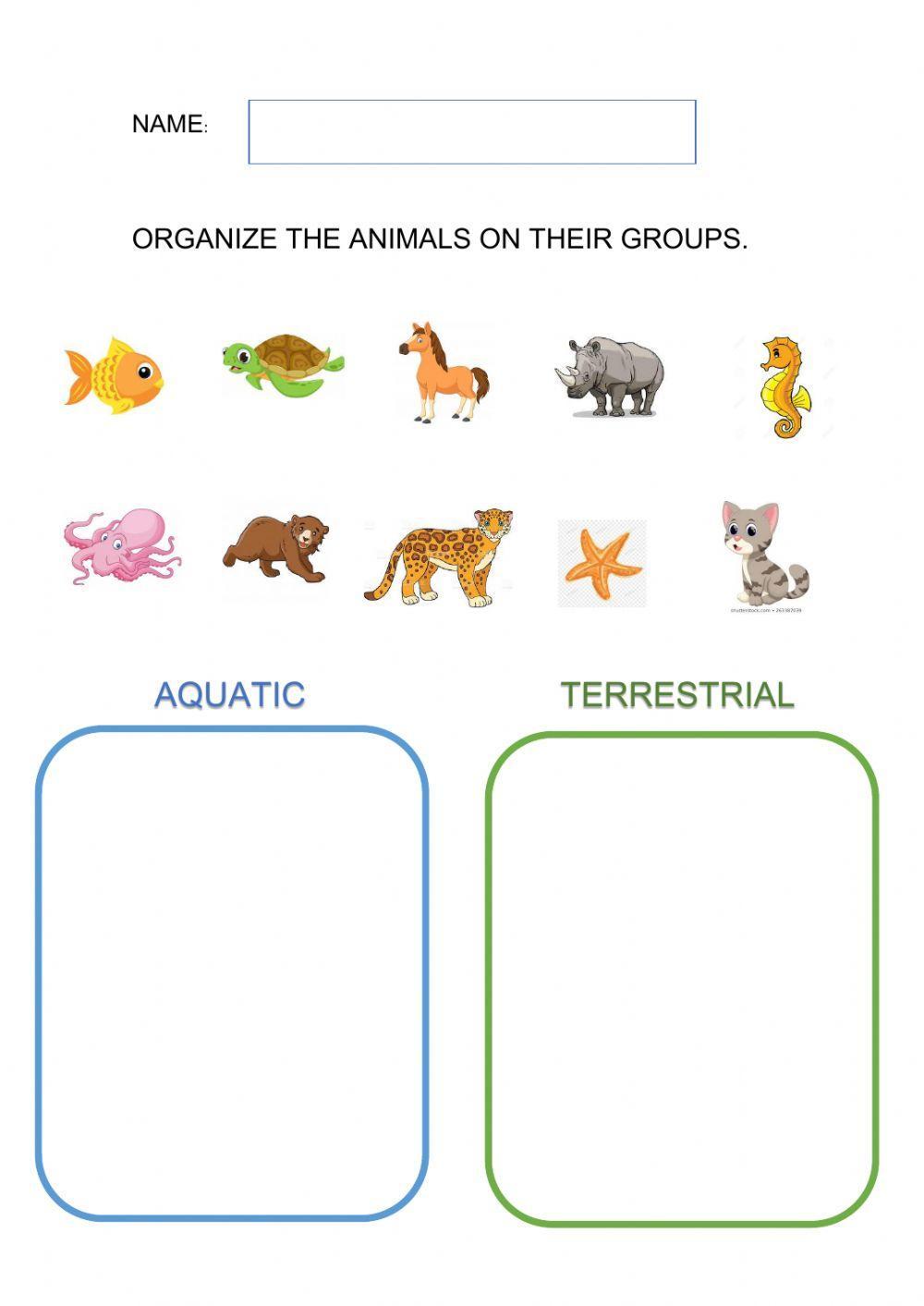 Aquatic - Terrestrial animals