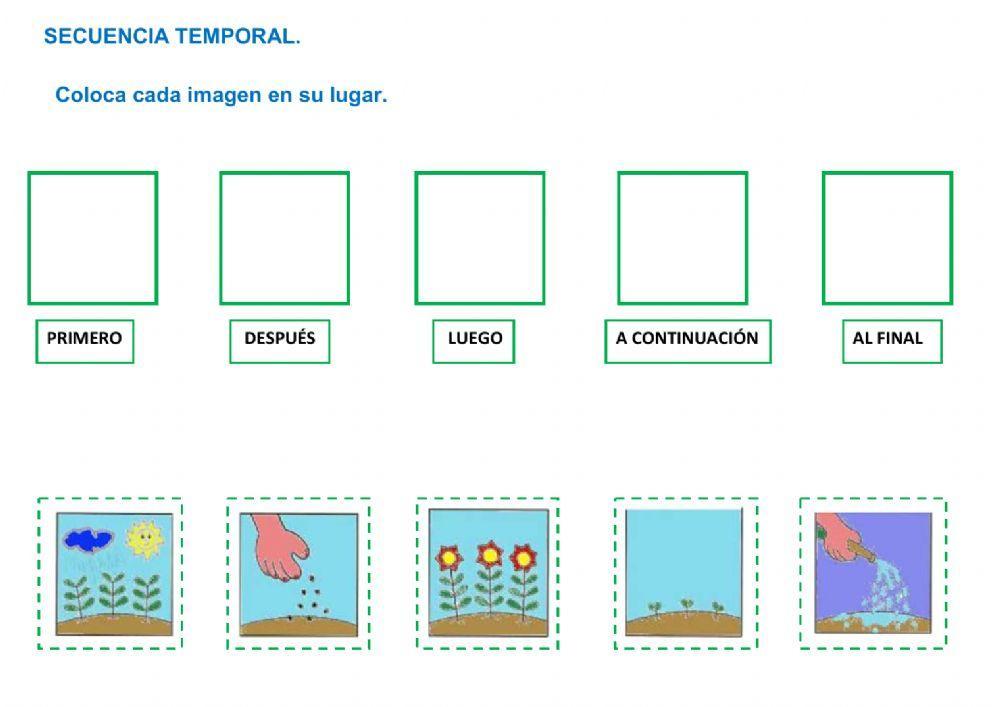 Crecimiento de las plantas