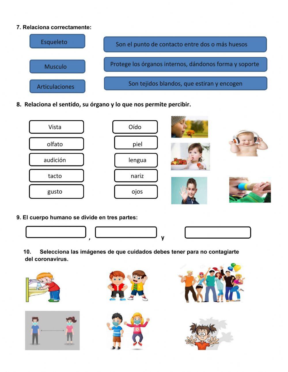 Evaluación Ciencias Naturales