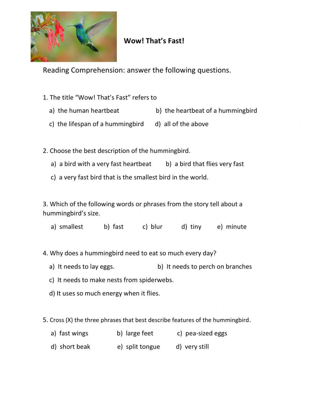 Hummingbirds Reading Comprehension Questions