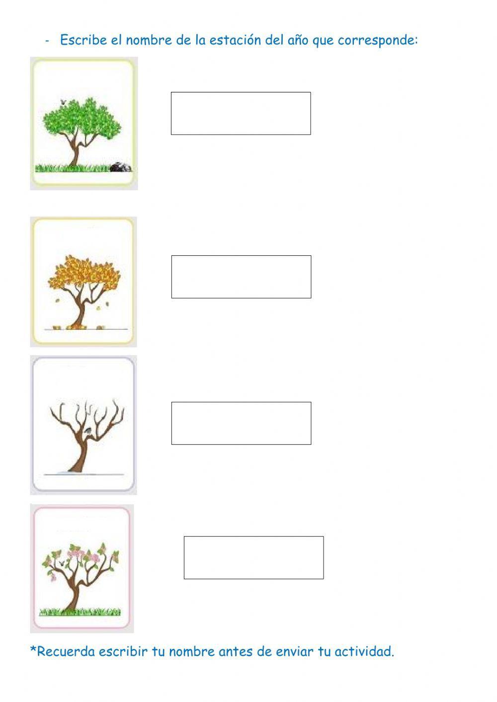 Movimientos que realiza la tierra
