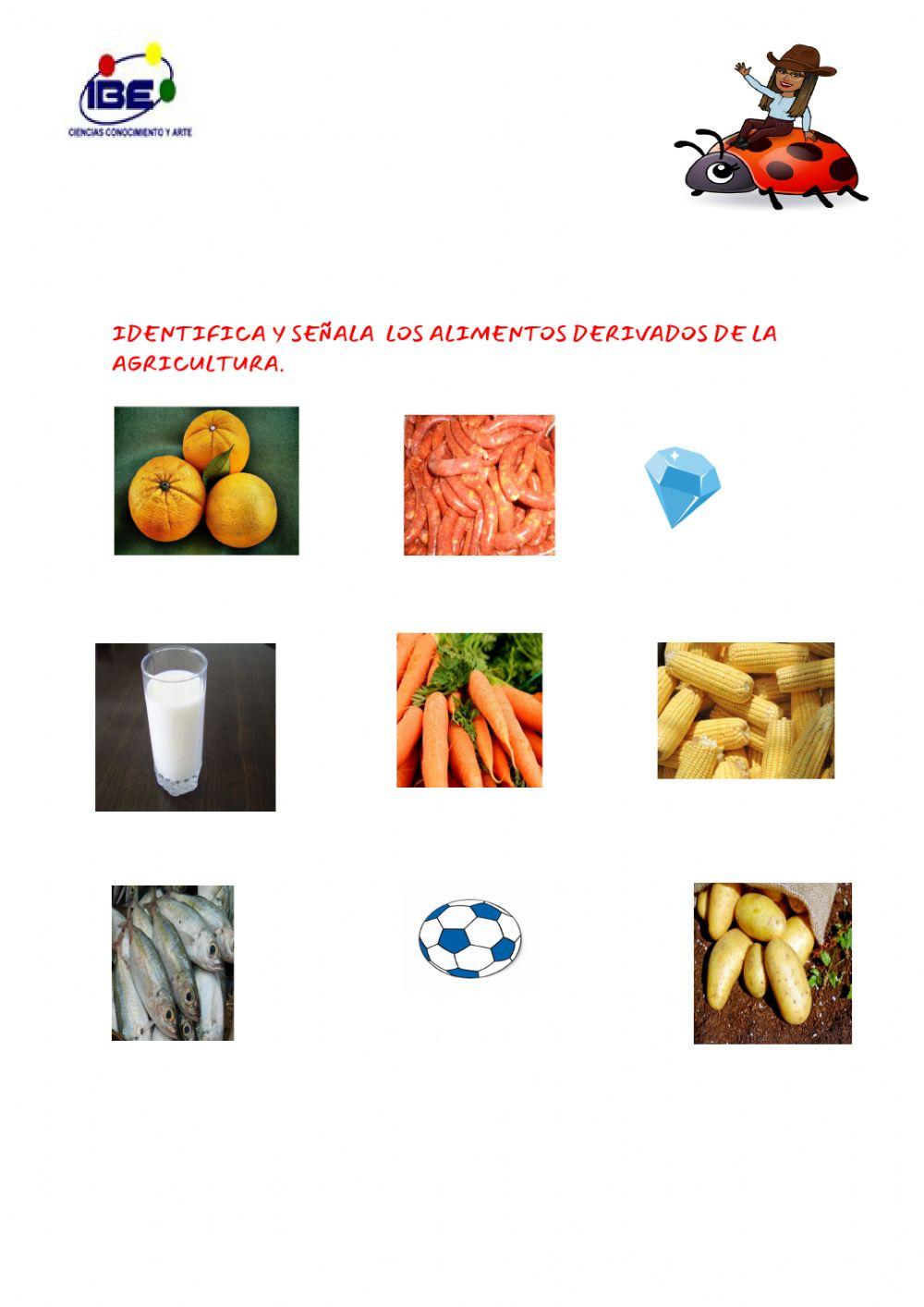 Sector primario Agricultura