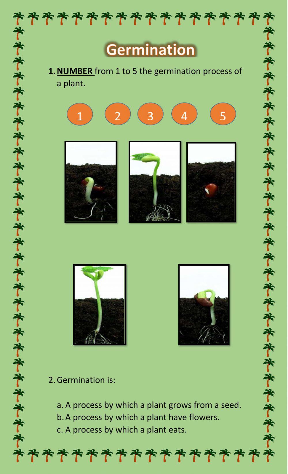 Germination Germination