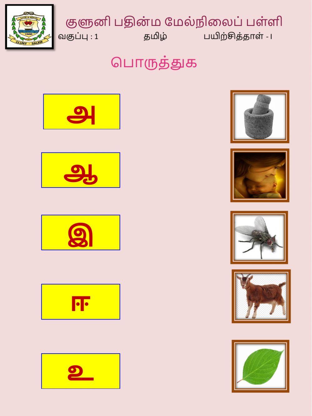 kindergarten worksheets tamil free download goodimgco free tamil