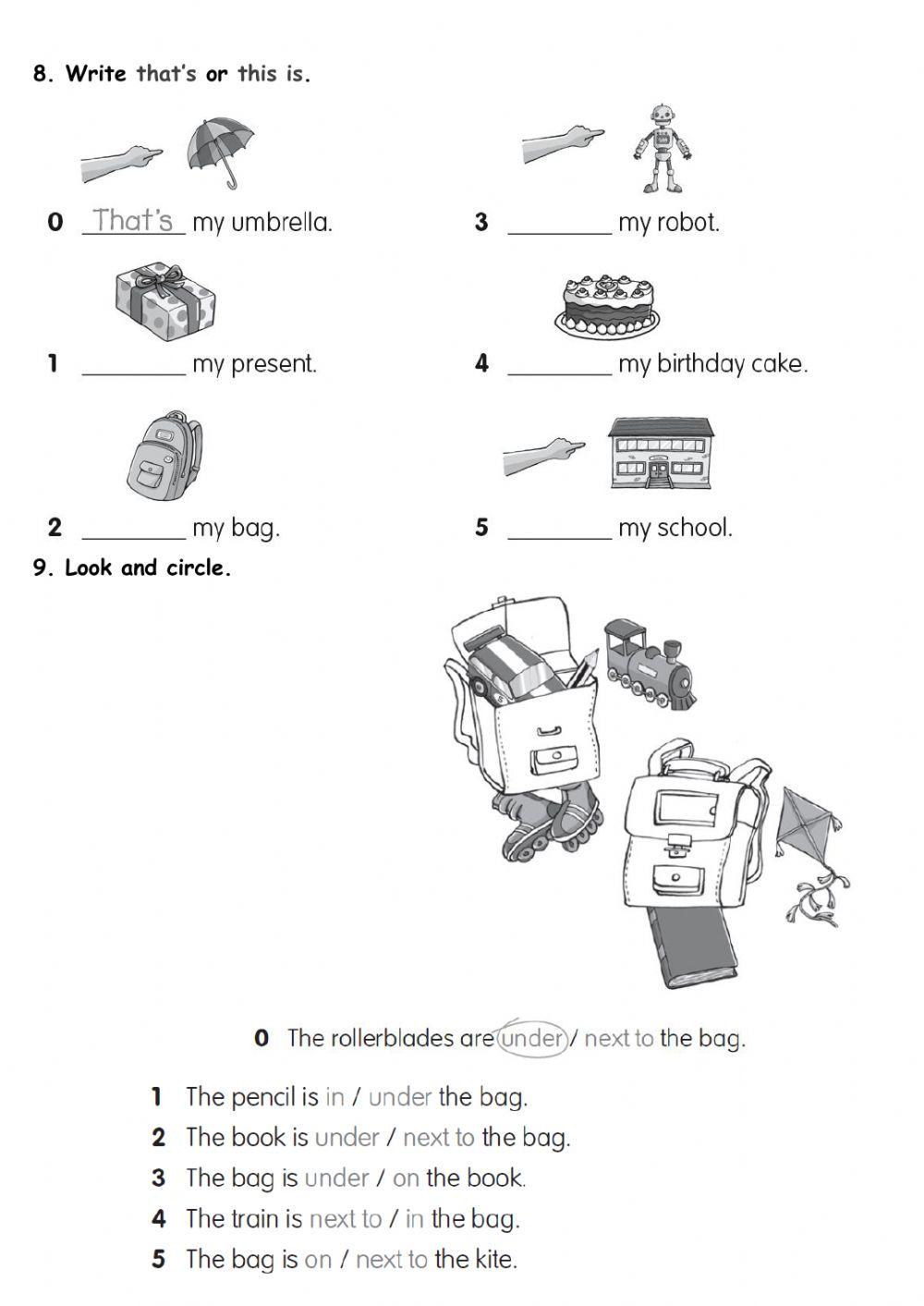 Dz 2 summer exam revision 2