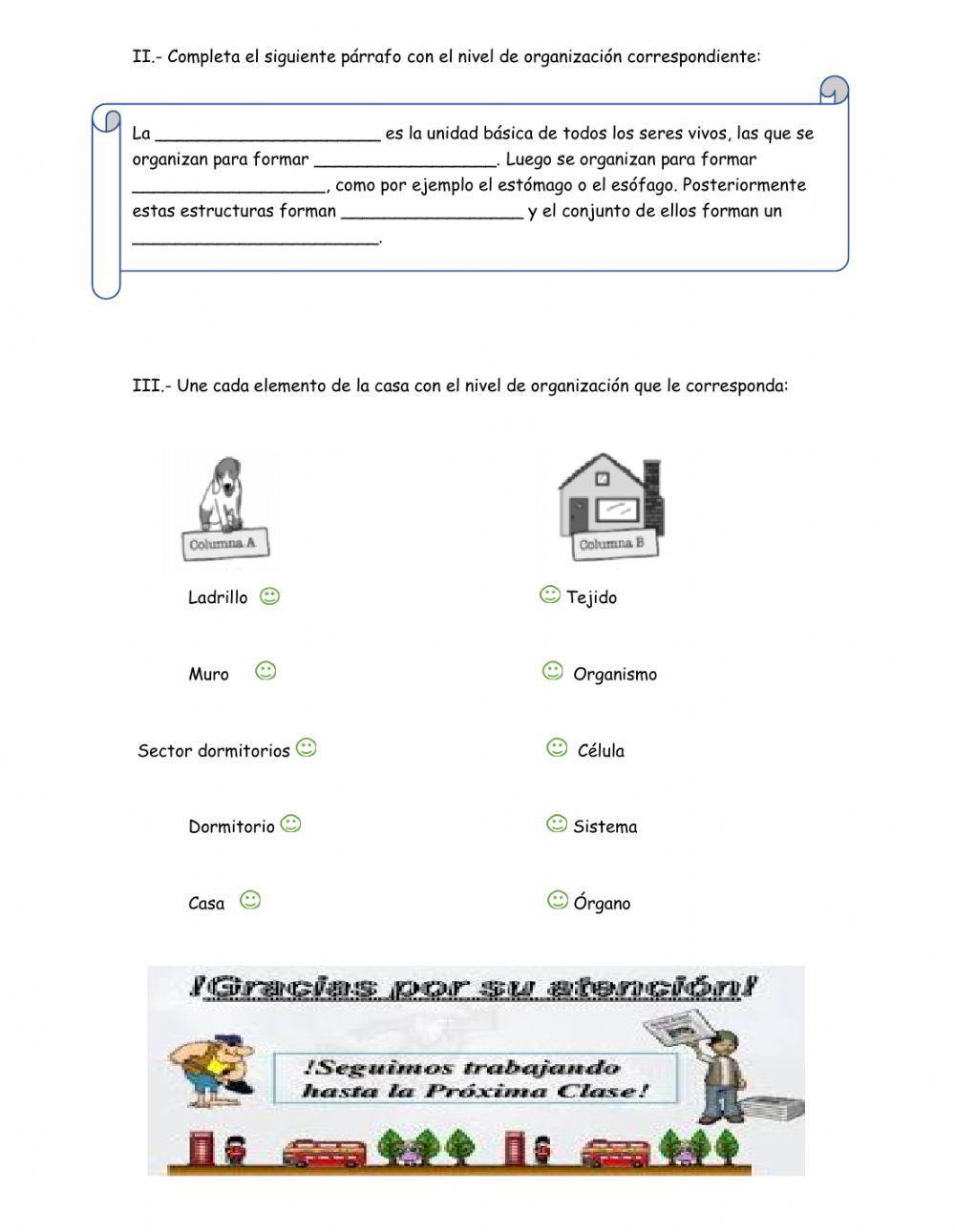 Niveles de organización